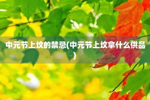 中元节上坟的禁忌(中元节上坟拿什么供品)