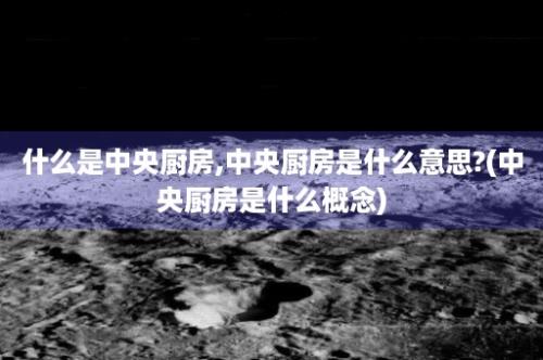 什么是中央厨房,中央厨房是什么意思?(中央厨房是什么概念)