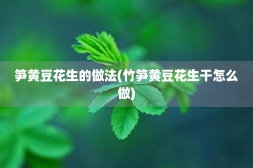 笋黄豆花生的做法(竹笋黄豆花生干怎么做)