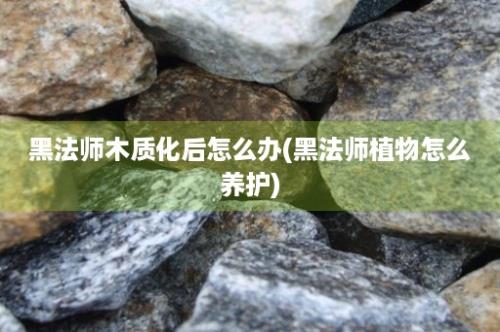 黑法师木质化后怎么办(黑法师植物怎么养护)