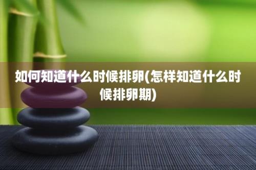 如何知道什么时候排卵(怎样知道什么时候排卵期)