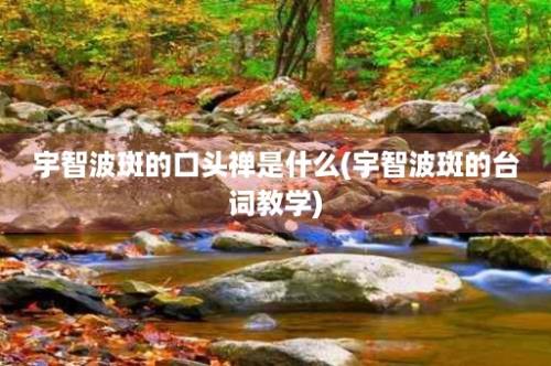 宇智波斑的口头禅是什么(宇智波斑的台词教学)