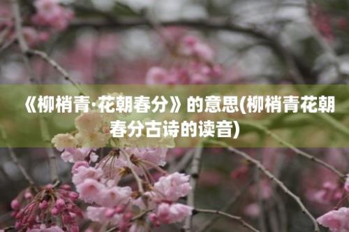 《柳梢青·花朝春分》的意思(柳梢青花朝春分古诗的读音)