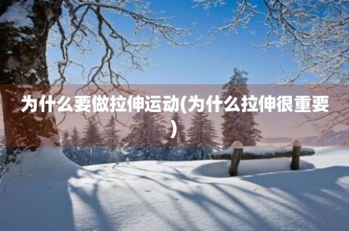 为什么要做拉伸运动(为什么拉伸很重要)