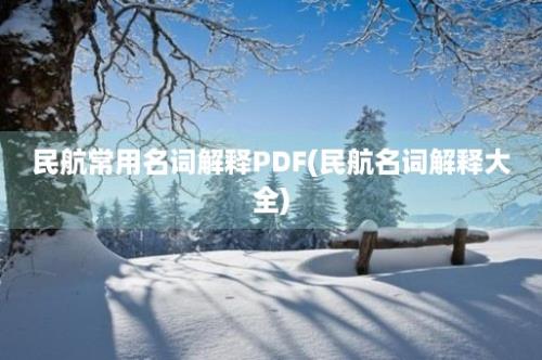 民航常用名词解释PDF(民航名词解释大全)