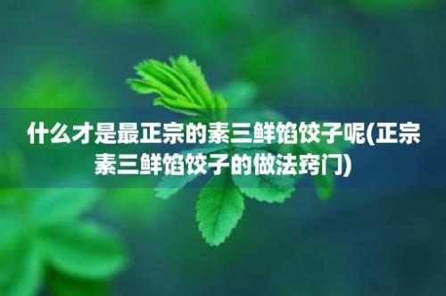 什么才是最正宗的素三鲜馅饺子呢(正宗素三鲜馅饺子的做法窍门)