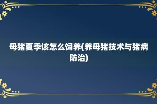 母猪夏季该怎么饲养(养母猪技术与猪病防治)