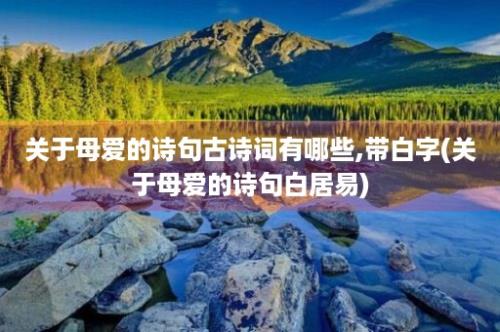 关于母爱的诗句古诗词有哪些,带白字(关于母爱的诗句白居易)