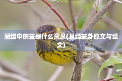 易经中的益是什么意思(易经益卦原文与译文)