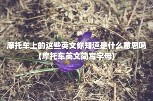 摩托车上的这些英文你知道是什么意思吗(摩托车英文简写字母)