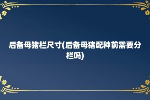 后备母猪栏尺寸(后备母猪配种前需要分栏吗)