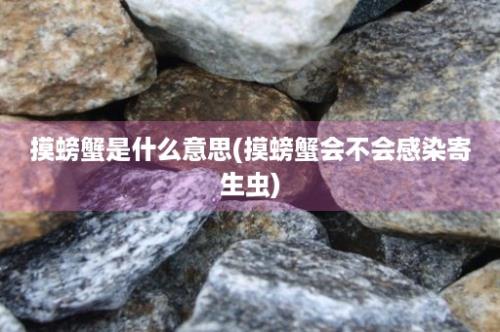 摸螃蟹是什么意思(摸螃蟹会不会感染寄生虫)