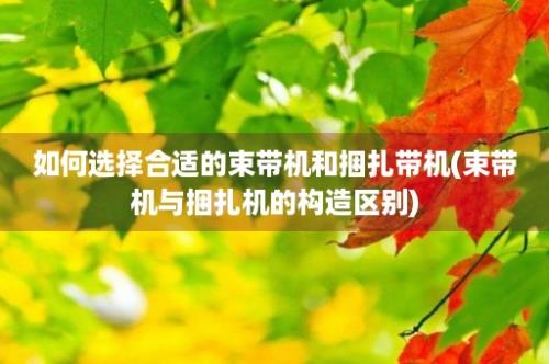 如何选择合适的束带机和捆扎带机(束带机与捆扎机的构造区别)