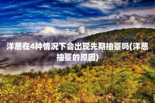 洋葱在4种情况下会出现先期抽薹吗(洋葱抽薹的原因)