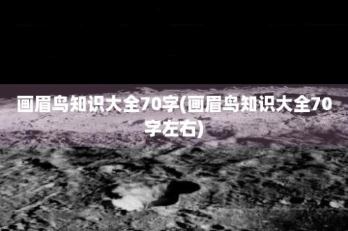 画眉鸟知识大全70字(画眉鸟知识大全70字左右)