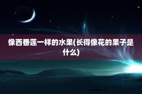 像西番莲一样的水果(长得像花的果子是什么)