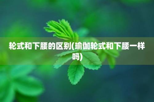 轮式和下腰的区别(瑜伽轮式和下腰一样吗)