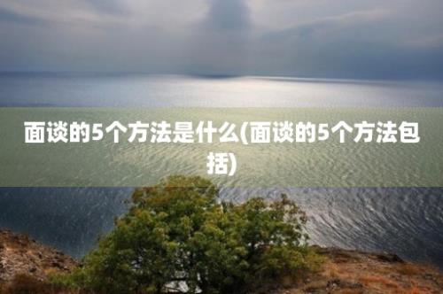 面谈的5个方法是什么(面谈的5个方法包括)