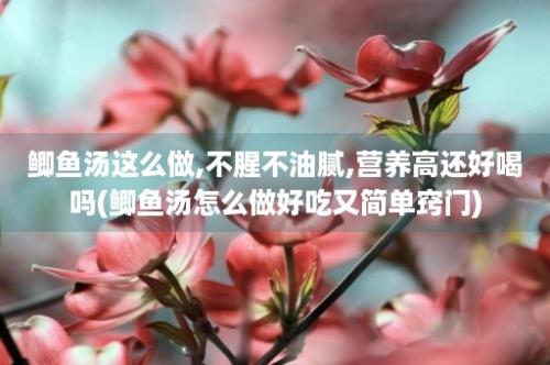 鲫鱼汤这么做,不腥不油腻,营养高还好喝吗(鲫鱼汤怎么做好吃又简单窍门)