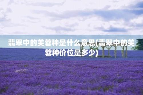 翡翠中的芙蓉种是什么意思(翡翠中的芙蓉种价位是多少)