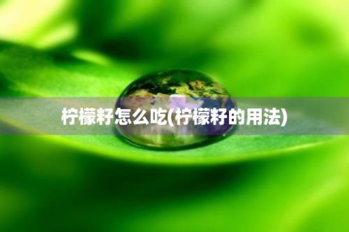 柠檬籽怎么吃(柠檬籽的用法)