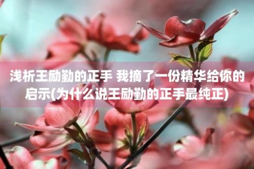 浅析王励勤的正手 我摘了一份精华给你的启示(为什么说王励勤的正手最纯正)