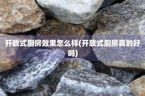 开放式厨房效果怎么样(开放式厨房真的好吗)