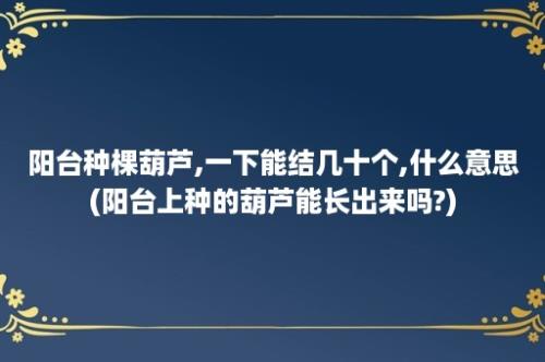 阳台种棵葫芦,一下能结几十个,什么意思(阳台上种的葫芦能长出来吗?)