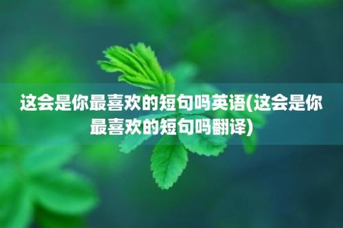 这会是你最喜欢的短句吗英语(这会是你最喜欢的短句吗翻译)