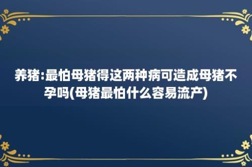 养猪:最怕母猪得这两种病可造成母猪不孕吗(母猪最怕什么容易流产)