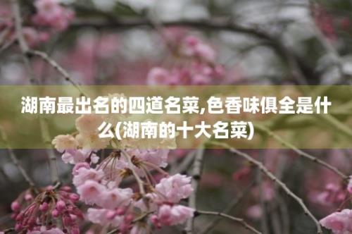 湖南最出名的四道名菜,色香味俱全是什么(湖南的十大名菜)