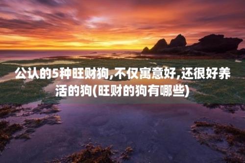 公认的5种旺财狗,不仅寓意好,还很好养活的狗(旺财的狗有哪些)