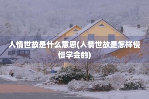 人情世故是什么意思(人情世故是怎样慢慢学会的)