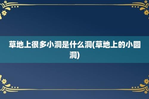 草地上很多小洞是什么洞(草地上的小圆洞)