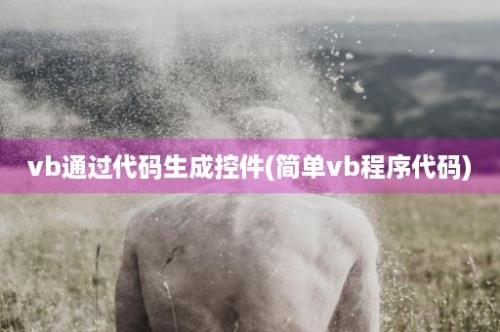 vb通过代码生成控件(简单vb程序代码)