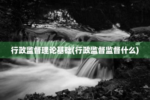 行政监督理论基础(行政监督监督什么)