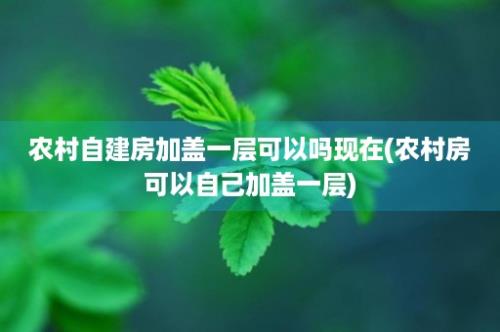 农村自建房加盖一层可以吗现在(农村房可以自己加盖一层)