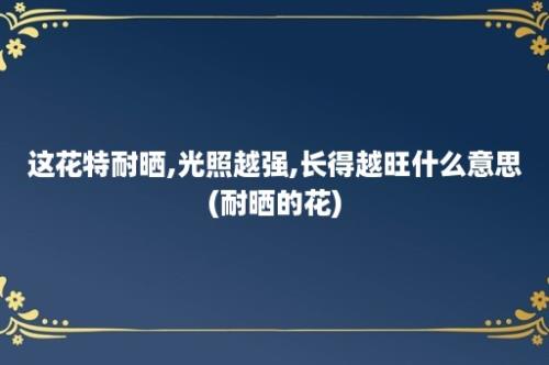 这花特耐晒,光照越强,长得越旺什么意思(耐晒的花)