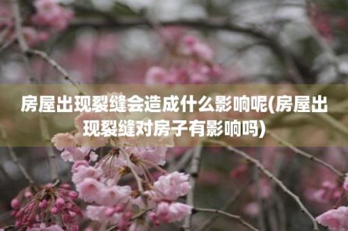 房屋出现裂缝会造成什么影响呢(房屋出现裂缝对房子有影响吗)