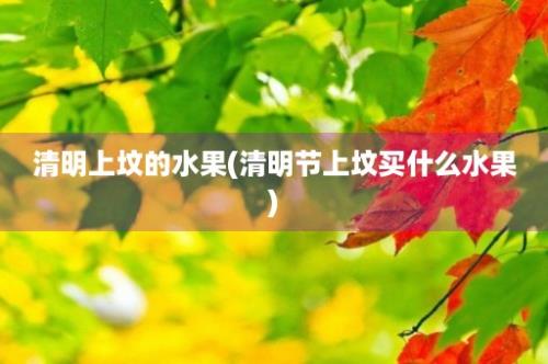 清明上坟的水果(清明节上坟买什么水果)