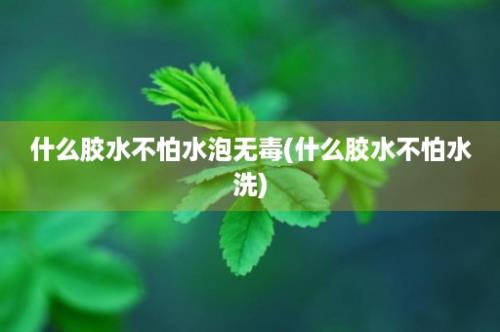 什么胶水不怕水泡无毒(什么胶水不怕水洗)