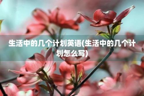 生活中的几个计划英语(生活中的几个计划怎么写)