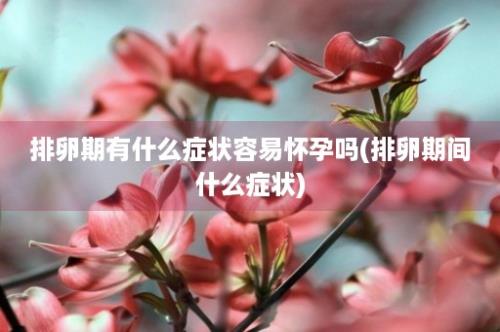 排卵期有什么症状容易怀孕吗(排卵期间什么症状)