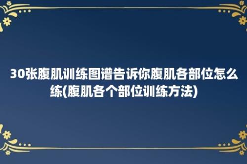 30张腹肌训练图谱告诉你腹肌各部位怎么练(腹肌各个部位训练方法)