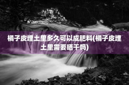 橘子皮埋土里多久可以成肥料(橘子皮埋土里需要晒干吗)