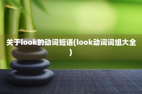 关于look的动词短语(look动词词组大全)