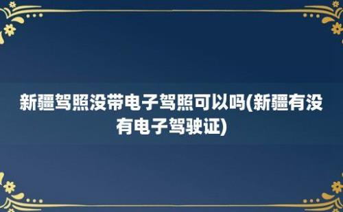 新疆驾照没带电子驾照可以吗(新疆有没有电子驾驶证)