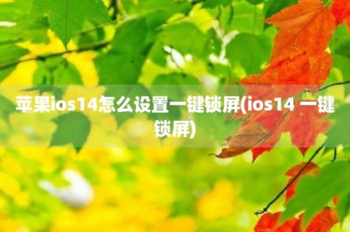 苹果ios14怎么设置一键锁屏(ios14 一键锁屏)