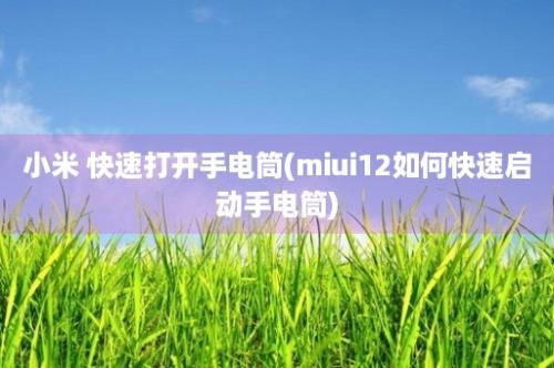 小米 快速打开手电筒(miui12如何快速启动手电筒)