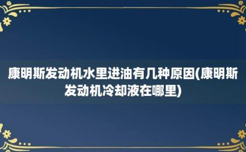 康明斯发动机水里进油有几种原因(康明斯发动机冷却液在哪里)